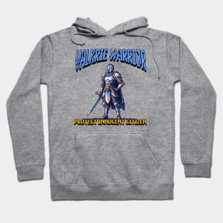 knight valkrie warrior pixel art Hoodie